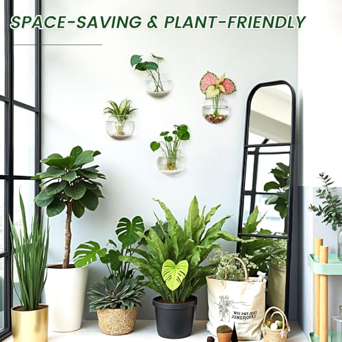DomeStar Set of 4 Wall Vases, Wall Mounted Propagation Station | Hanging Glass Vases, Terrarium Station for Hydroponics, Plants Home Office Decor (5 Inch) - size: 4pcs