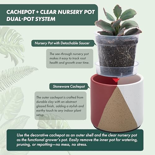 D'vine Dev 2-Pack Cachepot with Clear Pot, 4.5 in, Crimson Dune, 93-V-B-4 | Dual-Pot System, Root Visibility, Bottom Watering Support, Enhanced Drainage, Artistic Stoneware Design, Easy Plant Care - color: Crimson Dune, size: 4.5” Cachepot + 4“ Clear Grow