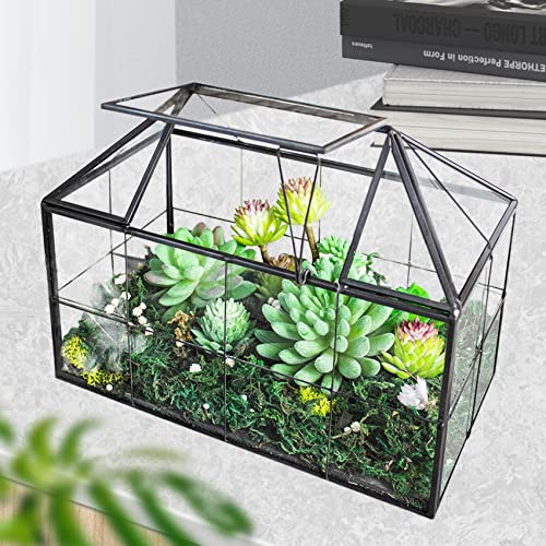 FerrisIsland Glass Aquarium Greenhouse Succulent Plant Aquarium Container | Glass Aquarium Greenhouse Succulent Plant Aquarium Aquaculture Container Desktop Decoration Garden DIY Kit(7.3"H) - size: 9.1"L x 7.3"H 5.4"W