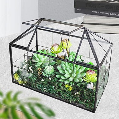 FerrisIsland Glass Aquarium Greenhouse Succulent Plant Aquarium Container | Glass Aquarium Greenhouse Succulent Plant Aquarium Aquaculture Container Desktop Decoration Garden DIY Kit(7.3"H) - size: 9.1"L x 7.3"H 5.4"W