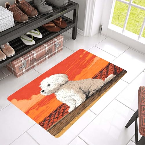 Dog at Sunset Front Door Mat Indoor Door Mat 18x30 Spring Welcome Entryway Doormat Dirt Trapper Heavy Duty Non Slip Entry Mats for Patio Garage Porch Home Decorative