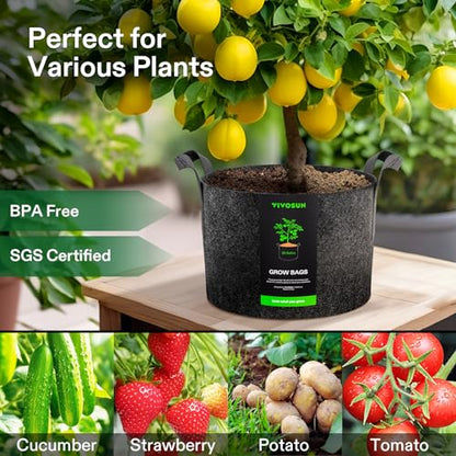 VIVOSUN 5-Pack 25 Gallon Plant Grow Bags Fabric Pots with Handles | 300G Thickened Nonwoven Fabric, Excellent Drainage, Healthy Root Growth, BPA-Free, Reusable - color: Black, size: 25 Gallons