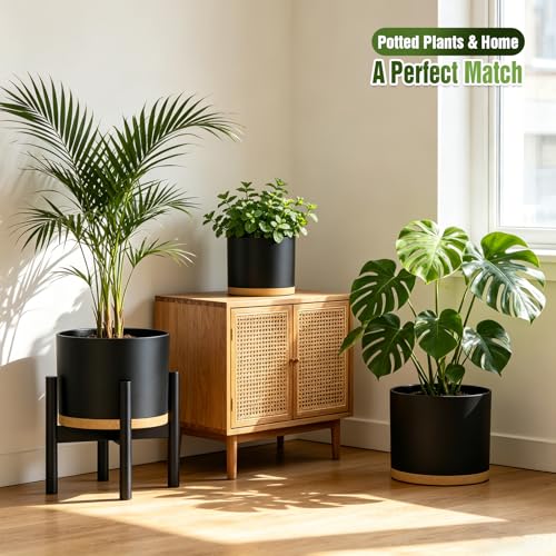 10/9/8 Inch Plant Pots 3 Pack, with Drainage Hole & Saucers | Cylindrical plastic planters with drainage holes & saucers. Modern matte finish, lightweight & durable for indoor/outdoor use - color: Matte Black&brown