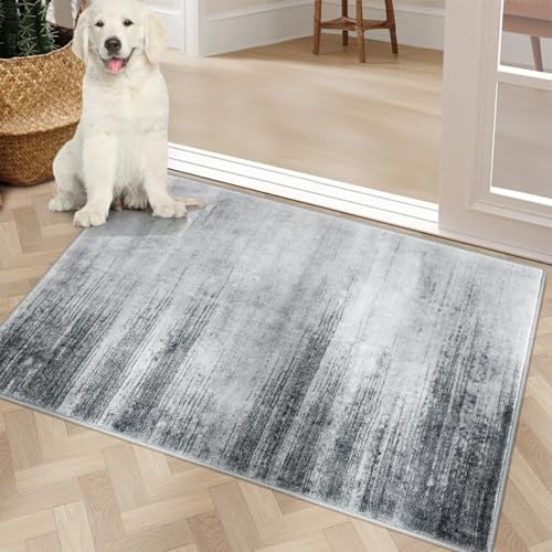 COMSLE Door Mat Soft Absorbent Indoor Front Entryway Rug Machine Washable Entrance Mats for Muddy Paws Non Slip Throw Rugs 20" x 32" Doormat for Inside Foyer Bedroom - Gray - color: Rain Gray, size: 1'8" x 2'8" (Rectangular)