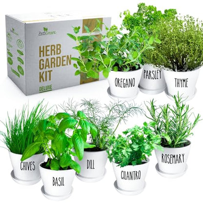 Herb Garden Starter Kit - 8 USA Culinary Herbs | Includes 8 culinary herbs, pots and soil for windowsill, kitchen or patio growing - color: 8 Herb