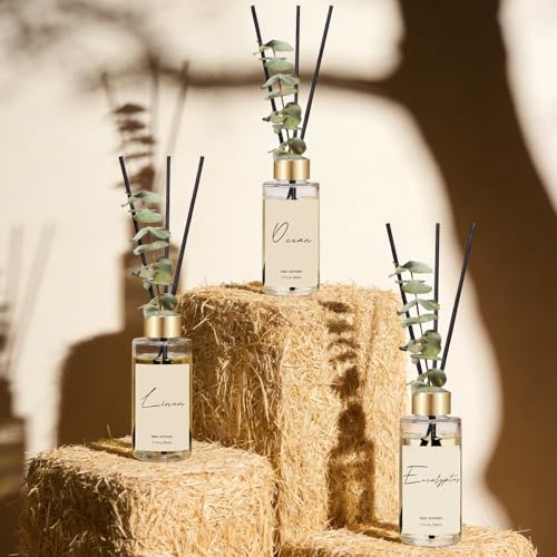 Reed Diffuser Set of 3, Eucalyptus, Linen, Ocean Oil Diffusers with Sticks | 1.7 fl oz Each, Total 5.1 oz, Long-Lasting Essential Oil Home Fragrance, Air Freshener for Bedroom, Bathroom Decor