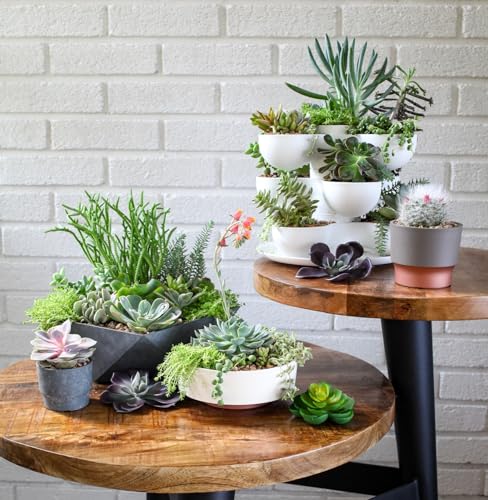 The HC Companies 8 Inch Round Plastic Succulent Capri Bowl 8"x8"x3" in Faux Concrete Color - color: Faux Concrete, size: 8"