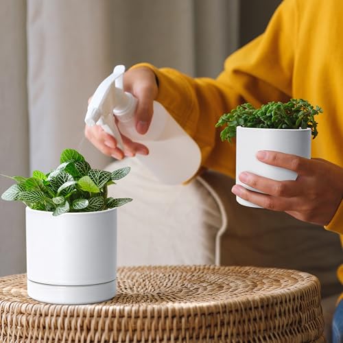 D'vine Dev 2-Pack Ceramic Pots & Saucers, White, 3.5/4.7 in, 94-G-XS-1 | Glazed Ceramic, Drainage Hole, Perfect-Fit Saucer, Sleek Cylinder Shape, High Temperature Fired, Elegant Home Accent - color: White, size: X-Small