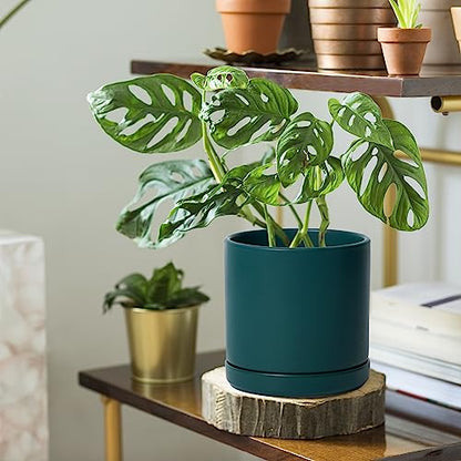 D'vine Dev 2-Pack Ceramic Pots with Saucers, 6/8 in, Teal, 94-G-M-9 | Glazed Ceramic, Drainage Hole, Perfect-Fit Saucer, Sleek Cylinder Shape, High Temperature Fired, Elegant Home Accent - color: Teal, size: Medium