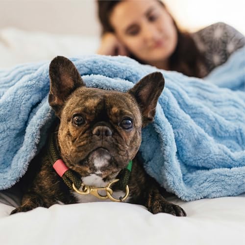 Bedsure Light Blue 3D Wave Fleece Throw Blanket for Couch - GentleSoft Spring Fluffy Blanket for Sofa Bed Room Decor, Super Cozy Fleece Throw for Women, Warm Cute All Season Gift, 50x60 Inches