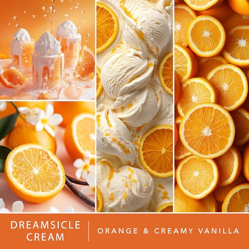 Scentsationals Lantern Wax Warmer and 4-Pack Variety Pack Wax Melts Starter Bundle (Ranch Lantern Warmer + Staycation 4pk)