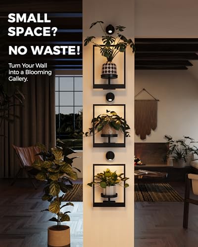 Bamworld Hanging Planters for Indoor Plants Wall Decor Living Room Light | Plant Stand Indoor Wall Planters Plant Hanger Window Plant Shelves 3-Packs with Lights