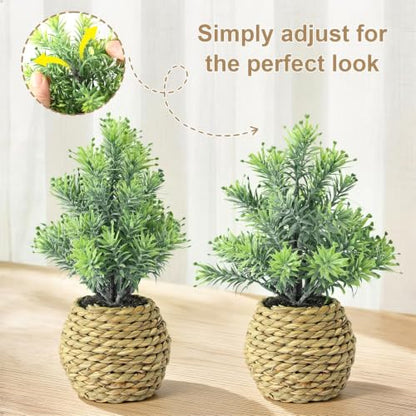 Small Fake Plants, 4 Pack Artificial Plants in Handwoven Seagrass Baskets | Natural Woven Texture, 4 Unique Plant Designs, Shelf, Desk & Table Decor, Realistic Faux Greenery, Farmhouse & Boho Decor