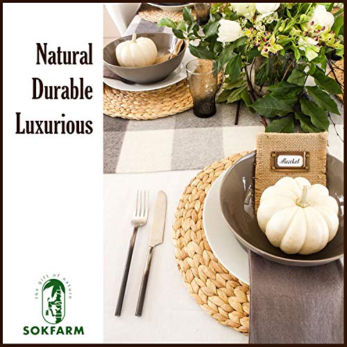 Woven Placemats Set of 6, Table Mats Set of 6, Water Hyacinth Round Placemats for Round Table, Chargers for Dinner Plates, Wicker Chargers for Dinner Plates, Woven Placemat, Place Mats 11.8 in - size: Placemats 11.8in Set 6