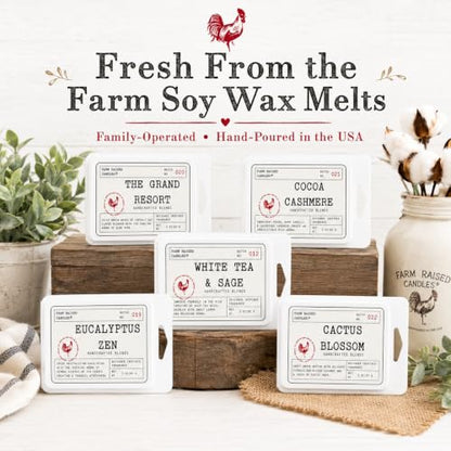 Resort Spa Soy Wax Melts, 5 Pack, 16 oz | 5 hotel & spa inspired scents • 16 oz total • 30 cubes • USA-grown soy wax