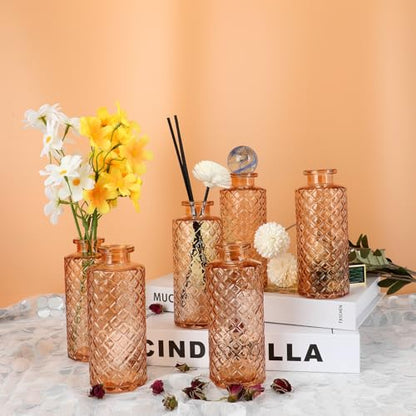 Glass Bud Vase, Flower Bottle, Small Vase, Set of 6, Simple, Solid, for Mum or Lady, Classy Gift for Father's Day, Anniversary, Wedding, Amber - color: Amber