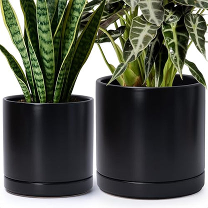 D'vine Dev 2-Pack Ceramic Pots with Saucers, 8/10 in, Black, 94-G-L-2 | Glazed Ceramic, Drainage Hole, Perfect-Fit Saucer, Sleek Cylinder Shape, High Temperature Fired, Elegant Home Accent - color: Black, size: Large