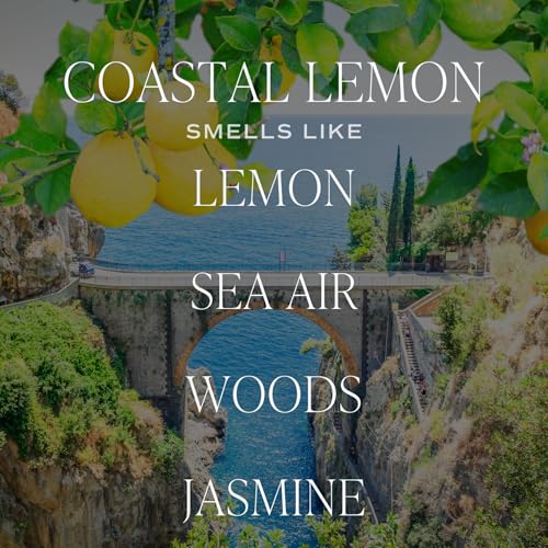 Sweet Water Decor Coastal Lemon Clear Reed Diffuser – Room Decor Aesthetic with Long-Lasting Premium Fragrance of Lemon, Sea Salt, Jasmine & Driftwood for 4 Months – Ideal for Home Décor - style: Coastal Lemon