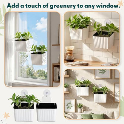 Hushee 4 Set Window Hanging Propagation Stations with Suction Cups Plastic Propagation Vases Propagated Plant Holder Wall Pots for Indoor Plants Office Home Garden Decoration Lover Gift (White) - style: White