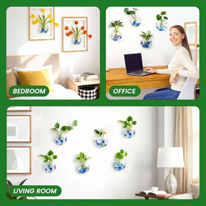 DomeStar Set of 2 Wall Vases, Wall Mounted Propagation Station | Hanging Glass Vases, Terrarium Station for Hydroponics, Plants Home Office Decor (5 Inch) - size: 2pcs