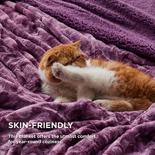 Bedsure Fuzzy Blanket Twin Size - Purple, Soft and Comfy Sherpa, Plush and Furry Faux Fur, Reversible Twin Blankets for Couch, Sofa and Bed, 60x80 Inches - color: 06 - Purple, size: Twin (60" x 80")