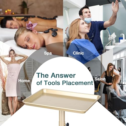 Salon Tray on Wheels, Champagne Gold Salon Tray Cart with Adjustable Height, Hair Stylist Tray, Metal Tattoo Tray, Suitable for SPA and Dental Tray - color: Champagne Gold