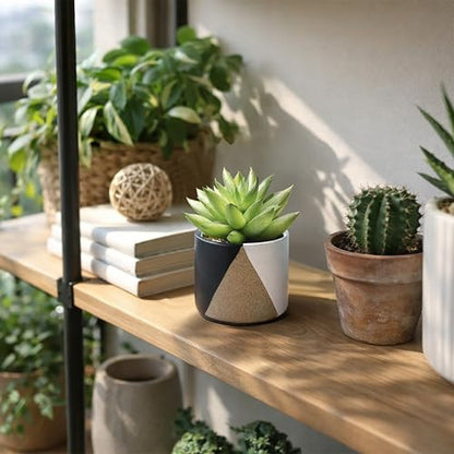 D'vine Dev 2-Pack Cachepot with Clear Pot, 3.5 in, Midnight Mesa, 93-V-A-2 | Dual-Pot System, Root Visibility, Bottom Watering Support, Enhanced Drainage, Artistic Stoneware Design, Easy Plant Care - color: Midnight Mesa, size: 3.5” Cachepot + 3“ Clear Gr