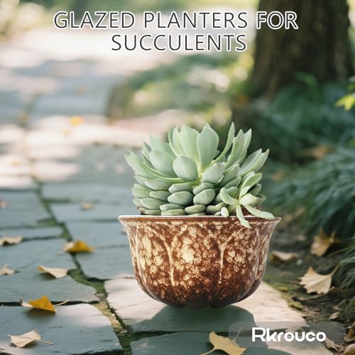 Ceramic Plants Pots 3 Inch Set of 4 Flower Pots with Drainage and Bamboo Tray for Indoor/Outdoor Small House Plants,Foliage Plant - style: Set 3
