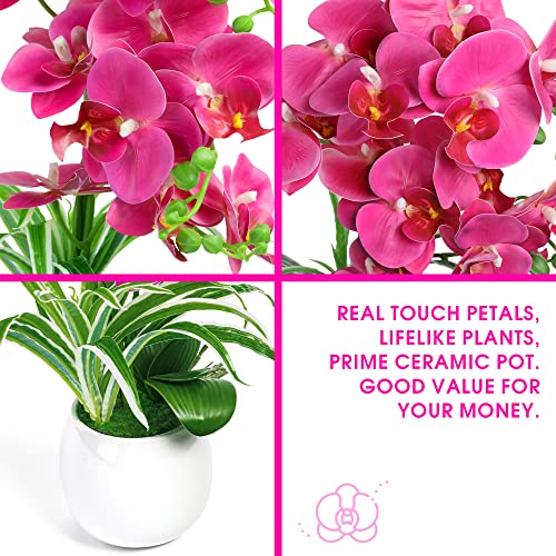 W&W Artificial Orchid Plants and Flowers with Vase, Fake Faux Orchid in Ceramic Pot,19”, Fuchsia - color: Fuchsia 01
