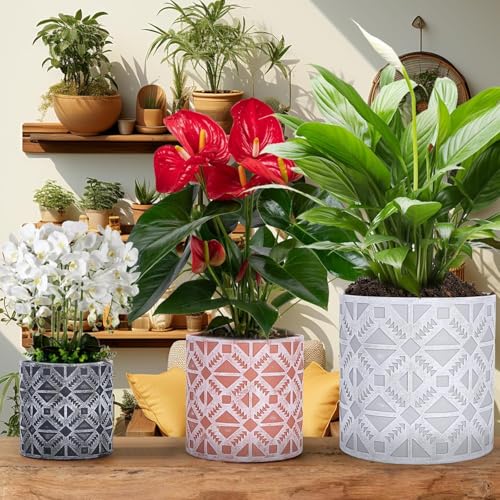 lokeisna Plant Pots, Set of Indoor Plant pots, Plastic Planter with Drainage and Saucer, Modern Distinctive Self Watering Plant Pot, Spray Spots (Indoor Plant Pots) - color: Indoor Plant Pots