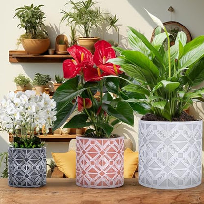 lokeisna Plant Pots, Set of Indoor Plant pots, Plastic Planter with Drainage and Saucer, Modern Distinctive Self Watering Plant Pot, Spray Spots (Indoor Plant Pots) - color: Indoor Plant Pots
