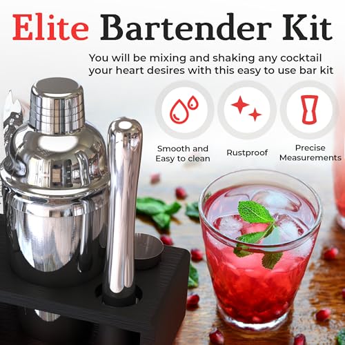 Highball & Chaser Cocktail Shaker Set: Bartender Kit for Home Bar Mixology Cocktail Bar Set Plus E-Book with 30 Recipes (Silver) - color: Silver