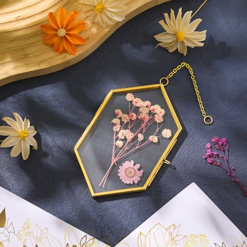 Qunclay 4 Pcs Floating Flower Frame Hanging Pressed Flower Frame DIY Hexagon Glass with Chain Double Floating Picture Geometric Wall Decor for Picture in Home Gallery Gradution