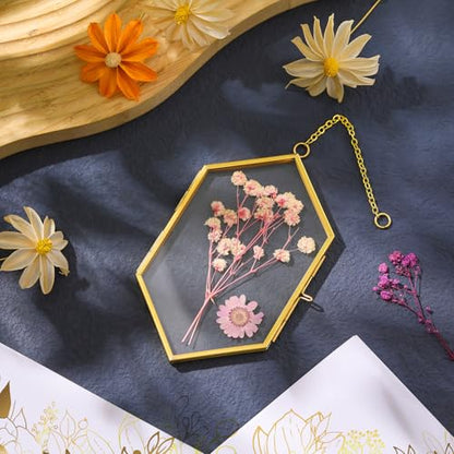 Qunclay 4 Pcs Floating Flower Frame Hanging Pressed Flower Frame DIY Hexagon Glass with Chain Double Floating Picture Geometric Wall Decor for Picture in Home Gallery Gradution