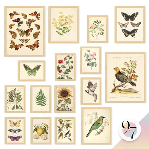 97 Decor Framed Vintage Botanical Wall Art, 16 Pcs Prints, Beige Frame | Floral, butterfly and bird prints, 2 pcs 11x14, 3 pcs 8x10, 11 pcs 5x7, bedroom, living room - size: FRAMED