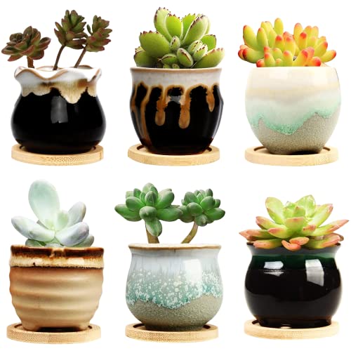 2.1 Inch Ceramic Small Succulent Pot,Plant Pots,Mini Flower Pots | Ceramic Succulent Pots with Drainage,Small Planter for Mini Plant Flowing Glaze Base Serial Set with Holes for Indoor,Outdoor - size: 2.3inch-6pack