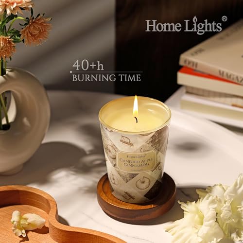 HomeLights Large jar Candle | 1-Wick Long-Lasting Scented Candles, 6.7oz Natural Soy Wax Candle for Home Scented, Rustic Modern Gifts for Women & Men, Candied Apple Cinnamon - color: Candied Apple Cinnamon