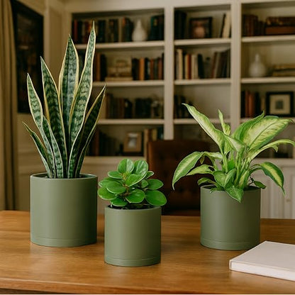 D'vine Dev 3-Pack Plastic Pots & Saucers, 6/6.5/8 in, Olive, 74-V-I-3 | Multi-Size Options, Lightweight Durable, Matte Finish, Cylinder Shape, Drainage Holes, Sleek Design, Detachable Saucer - color: Olive, size: Medium