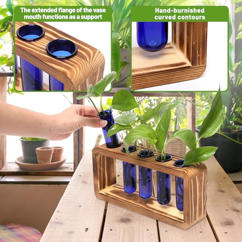 Glass Plant Propagation Station with 5 Test Tubes Colorful Planter Vase | Birthday Gifts for Women in Wooden Stand - color: Blue