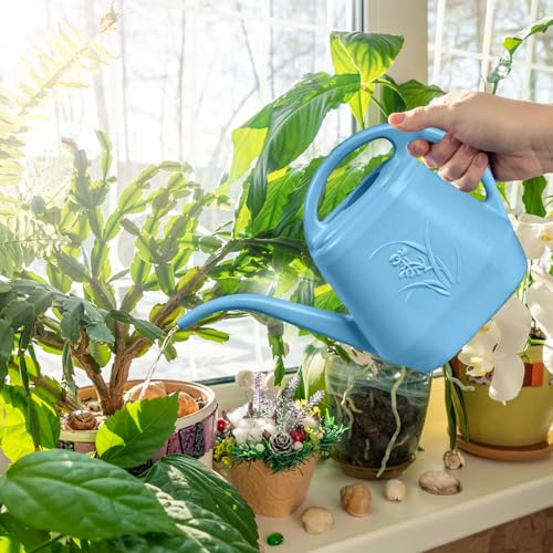 ZXJ Plant Watering Can - for Indoor and Outdoor Home Garden Plants - with Long Spout - Skye Blue - 1/2 Gallon - color: Skyblue