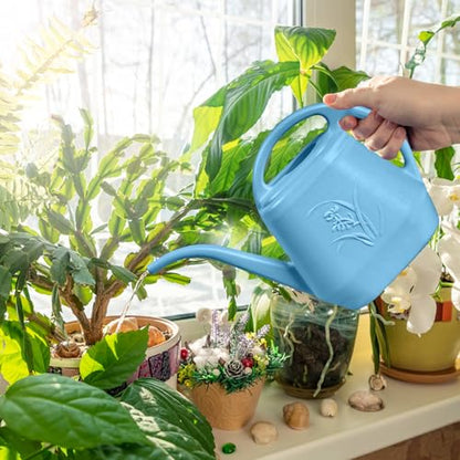 ZXJ Plant Watering Can - for Indoor and Outdoor Home Garden Plants - with Long Spout - Skye Blue - 1/2 Gallon - color: Skyblue