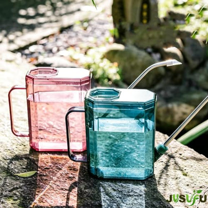 Watering Can Indoor,34oz/1000ml | Small Watering Cans for House Plants, Succulents and Flowers, Long Spout
