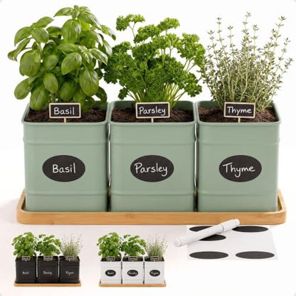 Herb Planter Indoor, 3-pc Herb Pots w/ Drainage Holes, Bamboo Tray & Labels | Iron Herb Pots, Varnished Bamboo Tray with Anti-Skid Base, Customizable Oval Sticker and Stick Labels & Chalkboard Marker Pen - color: Sage Green