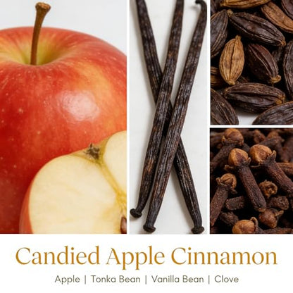 HomeLights Large jar Candle | 1-Wick Long-Lasting Scented Candles, 6.7oz Natural Soy Wax Candle for Home Scented, Rustic Modern Gifts for Women & Men, Candied Apple Cinnamon - color: Candied Apple Cinnamon