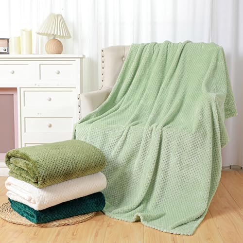 Newwiee 4 Pcs Fleece Throw Blanket, 3D Waffle Textured,Gradient Green | Soft Lightweight Set for Couch Bed Sofa, Warm Winter Throws, No Shedding Pilling, Flannel Waffle Texture, 50x60 Inch - color: Gradient Green
