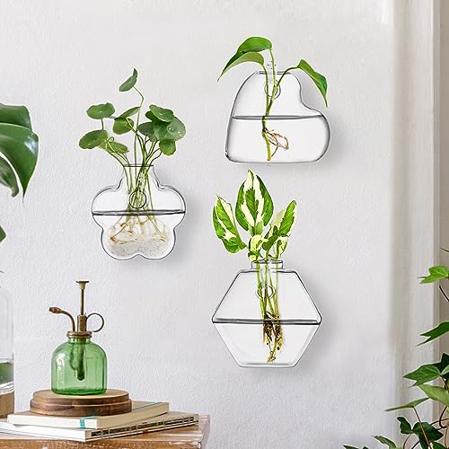 Set of 6 Wall Hanging Planter Terrarium, Clear Glass Plant Vase Wall Mount for Propagating Hydroponics Plant, Indoor Air Plants, Stylish 6 Shapes (Plants Not Included)