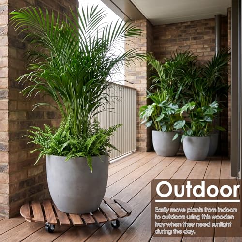 Novabright 25" Plant Stand with Wheels Plant Wooden Rolling Caddy Heavy Duty Dolly Caddy with Locking Wheels Heavy Duty Plants Dolly Mobile Stand for Large Pots Small Furniture Outdoor(1 Pcs) - size: 25 Inch