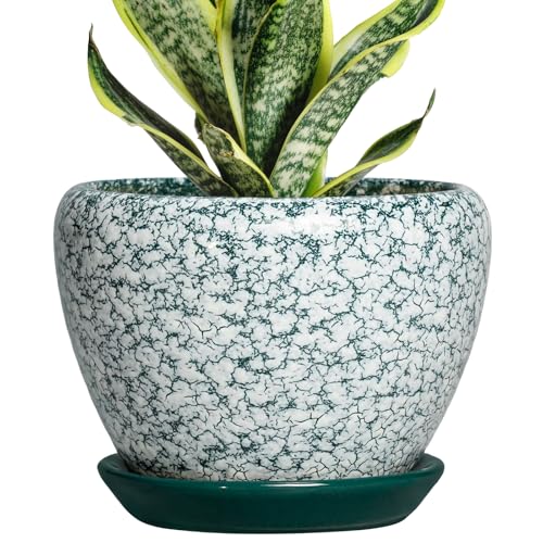Ceramic Plant Pot, 6 Inch, Crackle Green | Round Succulent Pot, Drainage Hole and Saucer, Modern Decorative, Bathroom Decor, House Warming Gift - color: Crackle Green, size: 6 Inch