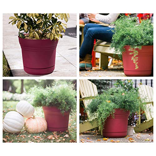 Bloem 814174023075 Saturn Planter with Saucer, 5", Honey Dew (SP0525), 5" - color: Honey Dew, size: 5"