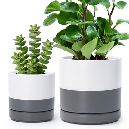 D'vine Dev 2-Pack Ceramic Pots with Saucers, White/Grey, 4/6 in, 94-G-S-6 | Glazed Ceramic, Drainage Hole, Perfect-Fit Saucer, Sleek Cylinder Shape, High Temperature Fired, Elegant Home Accent - color: White/Speckled Grey, size: Small